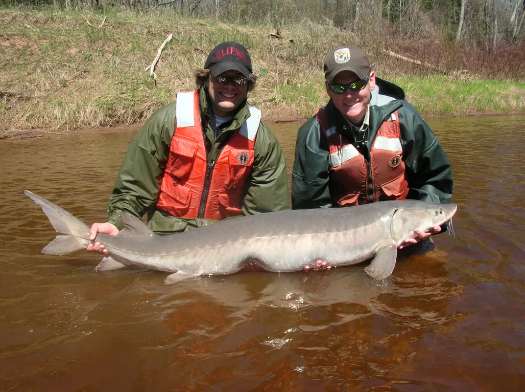 two adult men stand in a river with green and orange jackets and baseball caps and sunglasses, holding an enormous fish