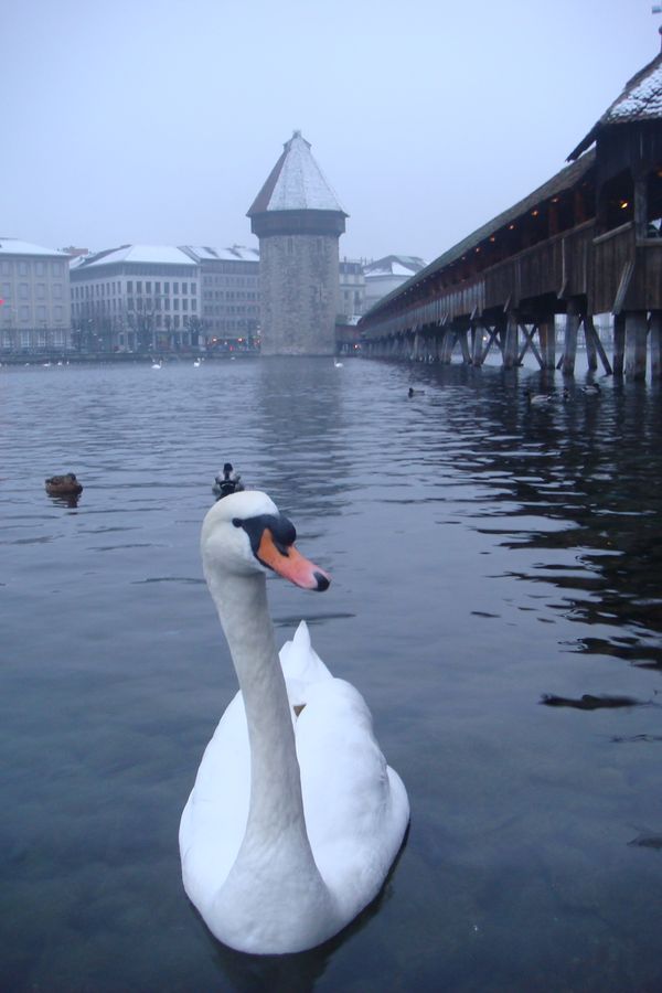 Winter in Lucerne thumbnail
