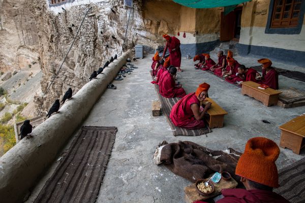 Novices having lunch on the Phuktal monastery terrace thumbnail