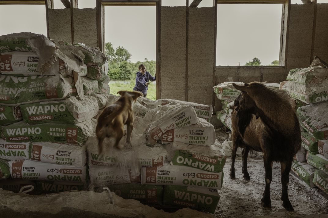 A dog and goat stay and run through the limestone binder, a nontoxic