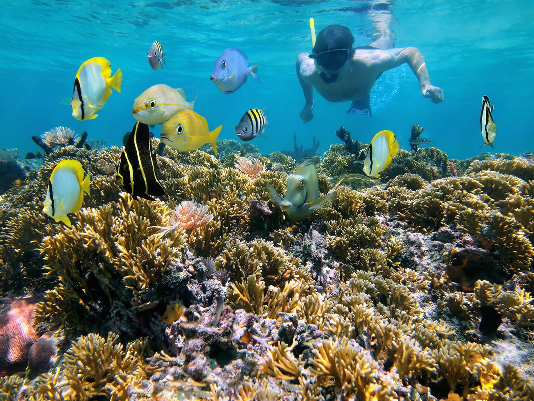 Snorkeling in Costa Rica