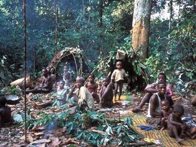 Displaced Pygmies