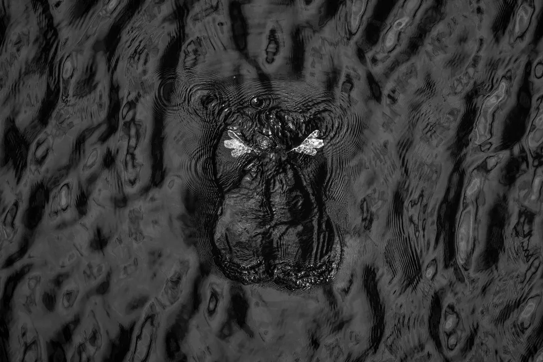 Black and white photo of ripples on water