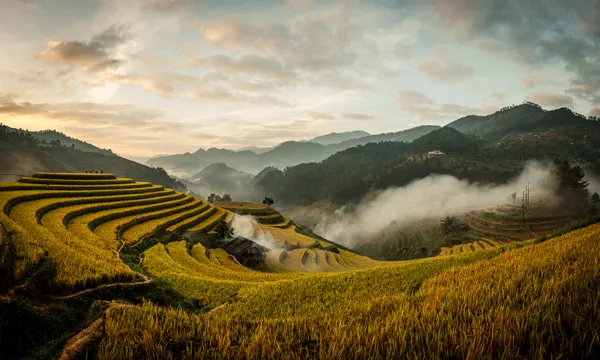 Morning in a rice terrace thumbnail