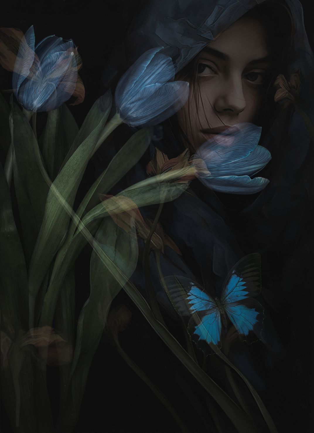 Blue Tulips 1 