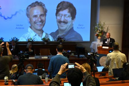 The Nobel Prize in Physiology or Medicine was awarded&nbsp;to Victor Ambros and Gary Ruvkun, who together discovered microRNA.