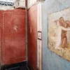 Archaeologists Discover Breathtaking Wall Paintings Frozen in Time Inside a Modest Home in Ancient Pompeii icon