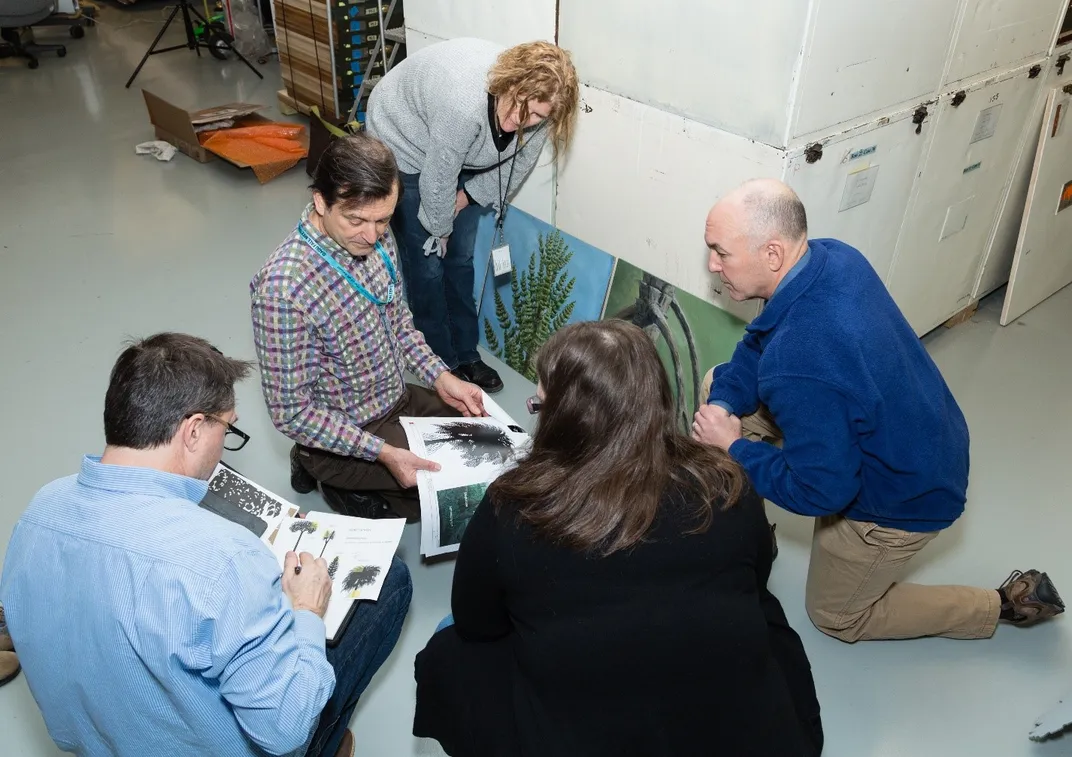 Five people include two members of the team behind the new fossil hall kneeling on the ground looking at images of ancient plants