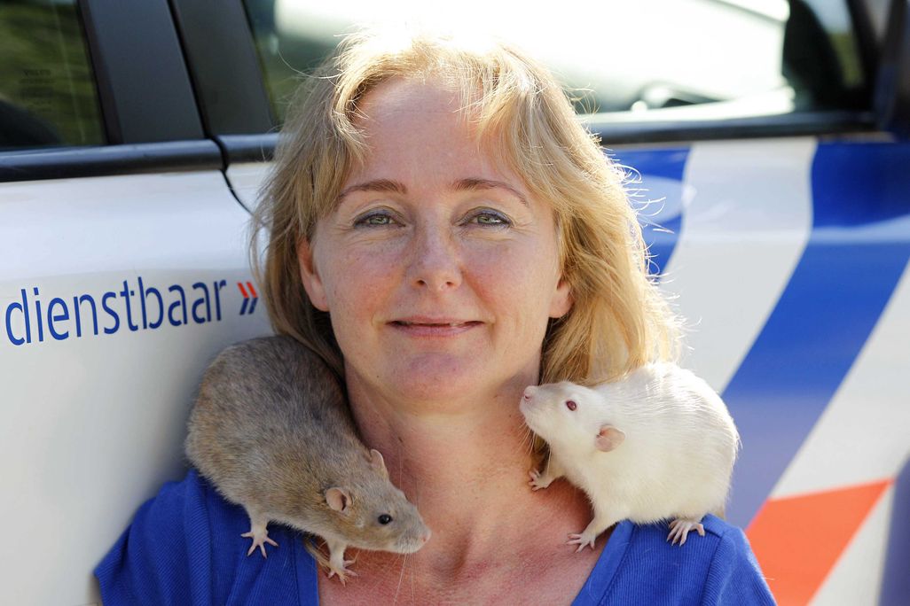 Police rats