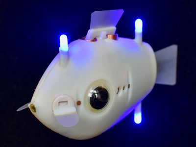 Each fish-inspired robot uses two wide-angle cameras to look for the LEDs on its companions.