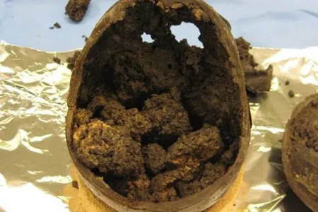 The Heslington brain, revealed intact within a 2,600-year-old skull unearthed near modern day York, England