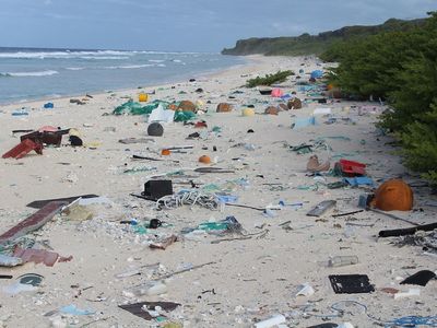 Henderson Island, world's garbage can. 