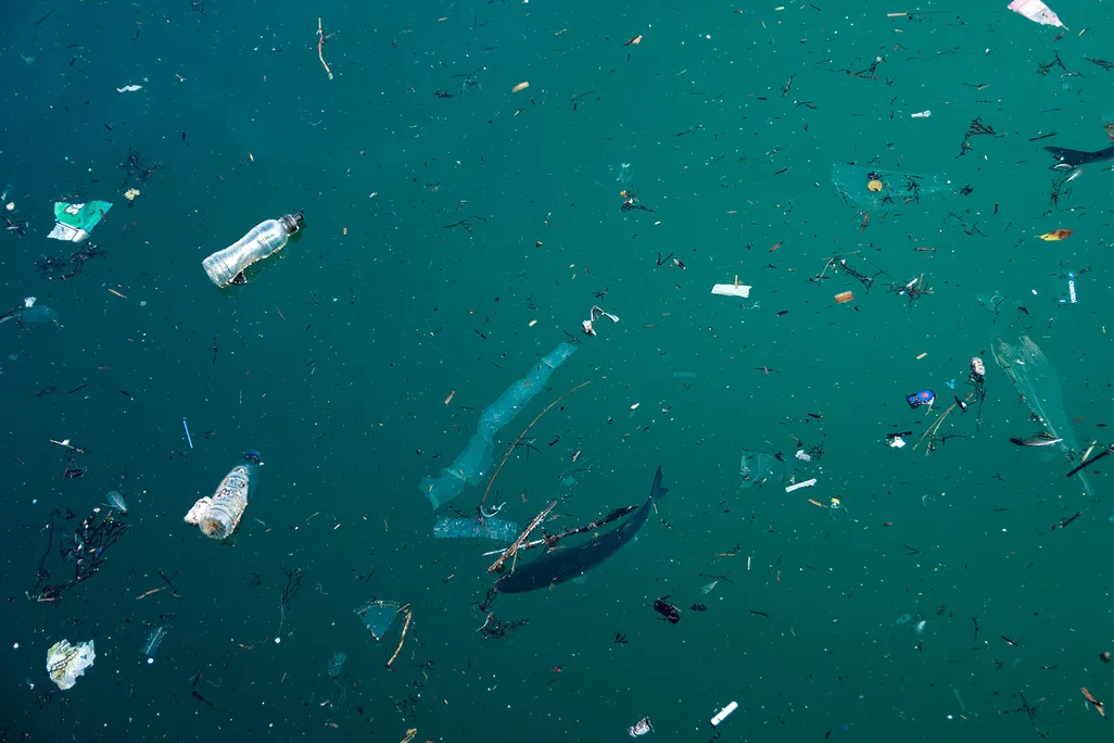 Plastics Floating in Water