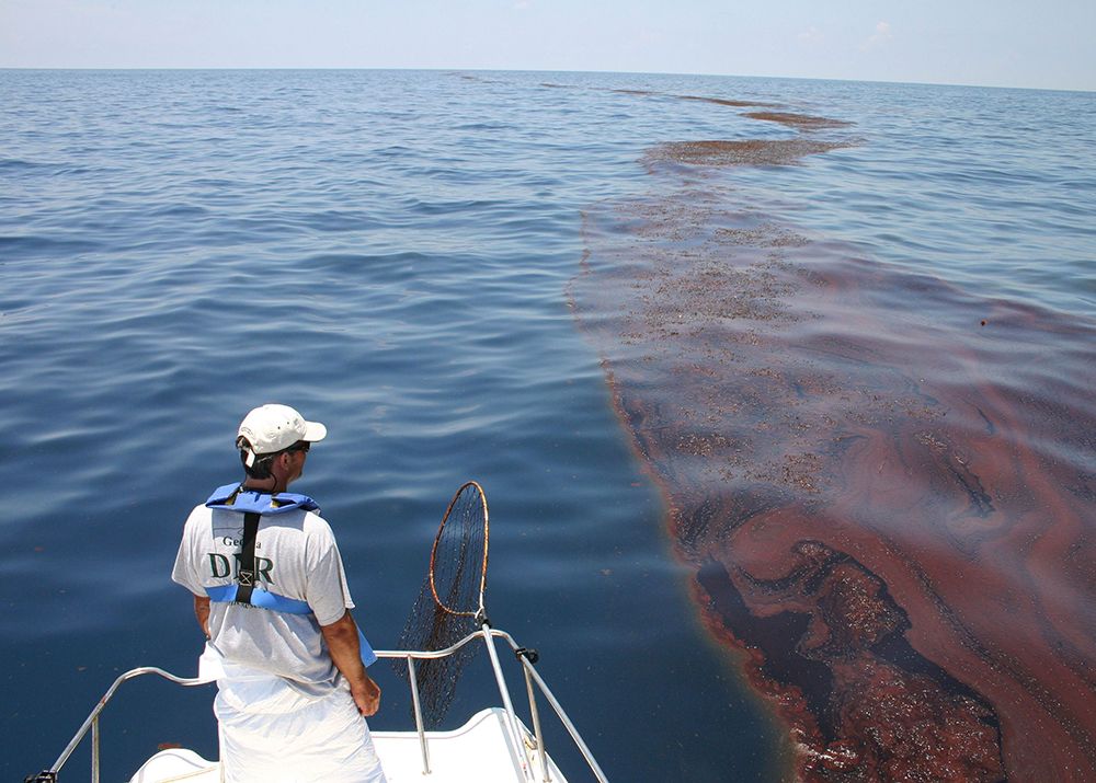 Surveying oiled sargassum