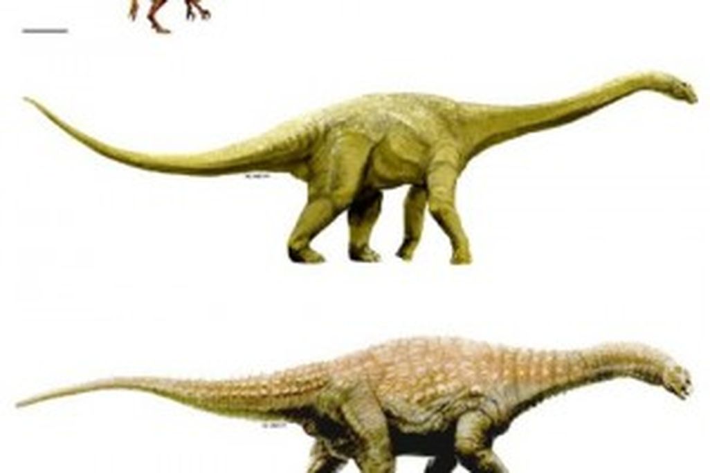 20110520083136new-aussie-dinos-300x248.jpg