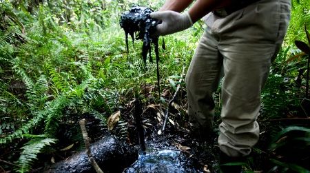Not from the current spill, the Rainforest Action Network shows what they say is lasting damage from Ecuador’s long history of damage from oil production.