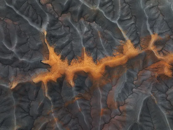 Dawn’s First Touch thumbnail