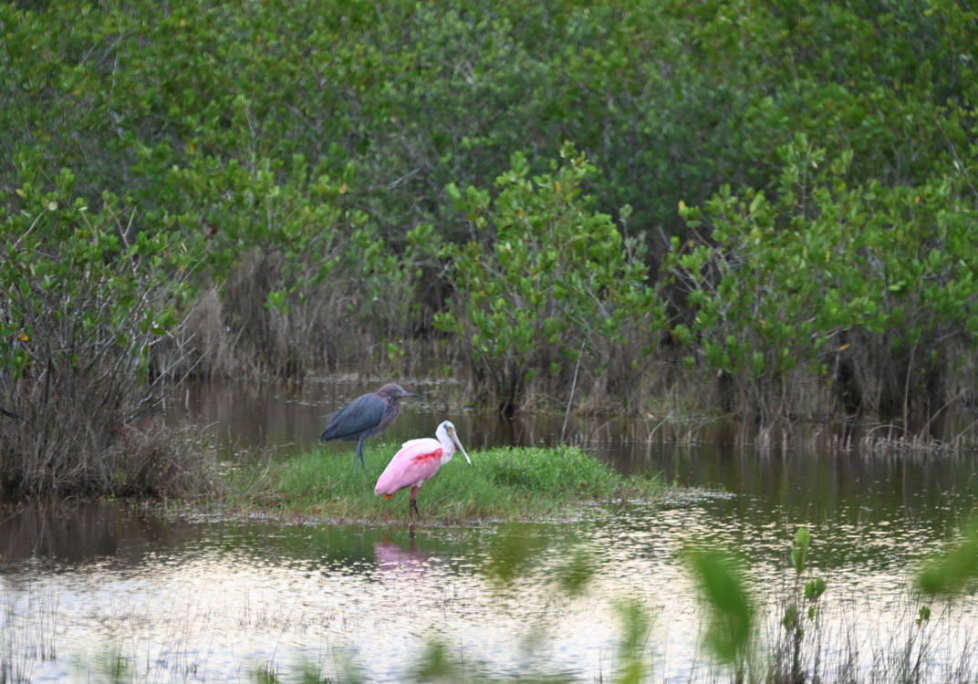 Take an Out-of-this-World Road Trip Across Florida’s Space Coast