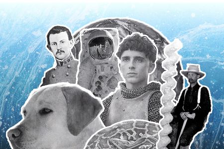 Presenting Smithsonian magazine's top ten stories of 2019