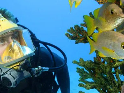 cousteau-631.jpg