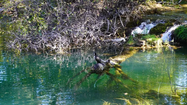 Housekeeping thumbnail