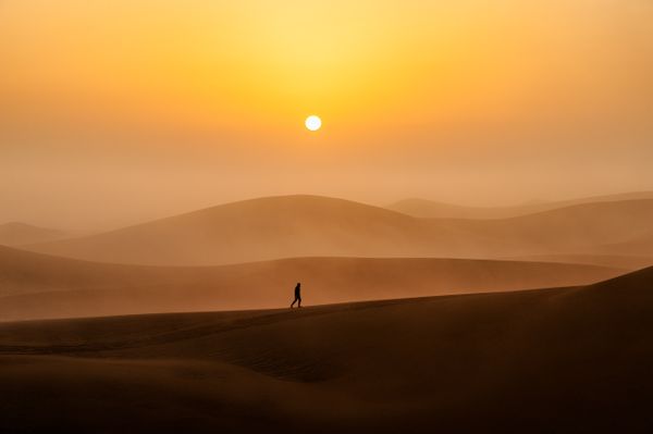 Desert Sunrise thumbnail