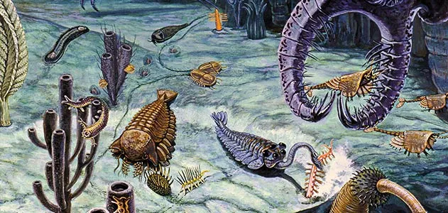 Burgess Shale's Weird Wonders | History| Smithsonian Magazine