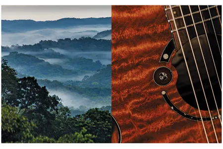 Left, the Chiquibul Forest in Belize, near the spot where the fabled Tree once grew. Right, a custom guitar crafted from the Tree&rsquo;s distinctive mahogany.