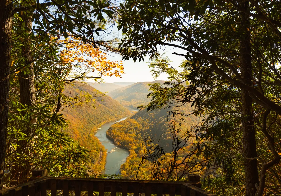 Viewed through a canopy of trees, the New River winds between steep, forested mountains near Grandview in West Virginia. Golden autumn foliage covers the hillsides surrounding the river below.