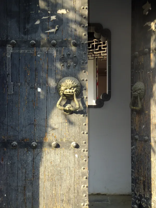 The history before the gate thumbnail