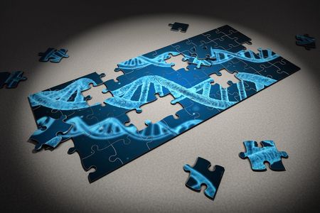 Scientists plan to piece together the genetic code of all plants, animals, fungi and protists within the next ten years as part of the Earth BioGenome Project. 