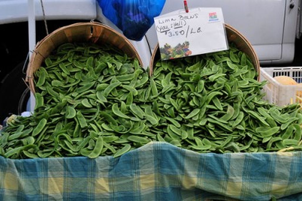 20110520090153fresh-lima-beans-at-market-by-ed-yourdon-400x265.jpg
