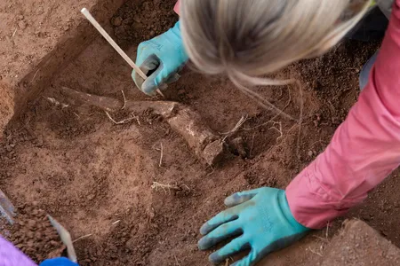 The bones were discovered at a very shallow depth, indicating that they had been disposed of in a hurry, and with little ceremony.