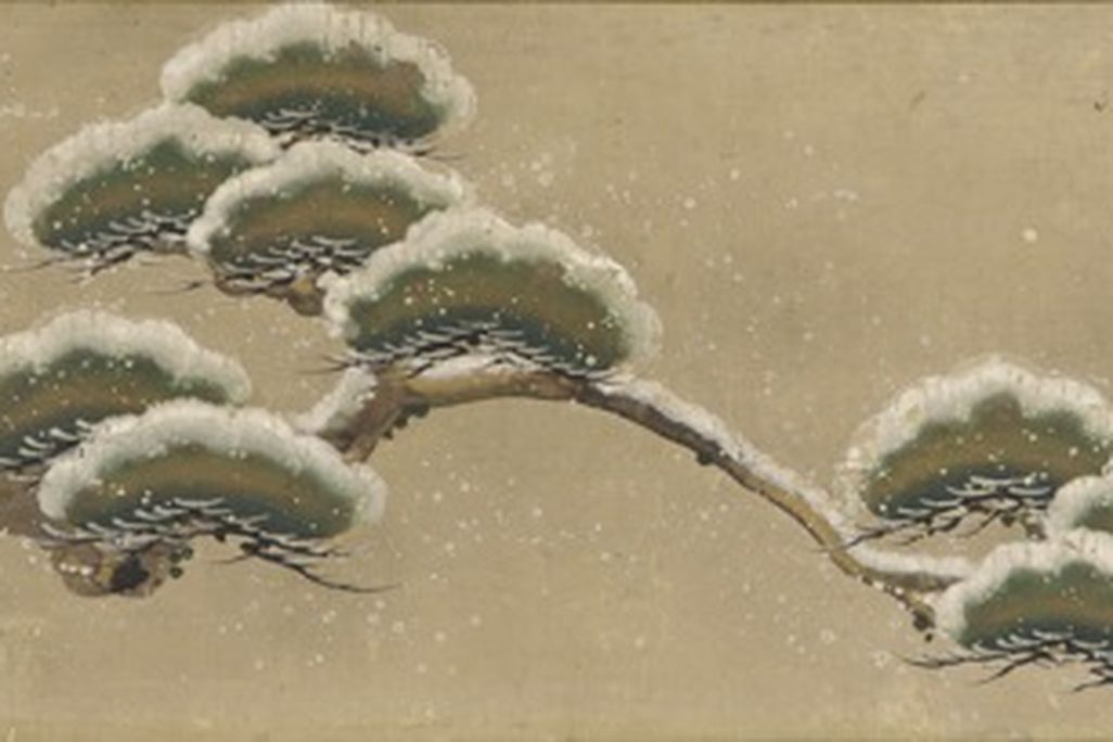 pine_FS_dec14.jpg