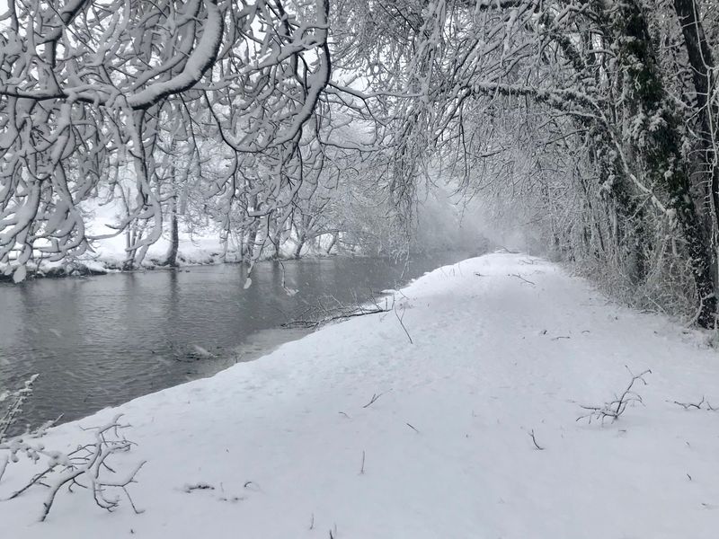 first snow fall Smithsonian Photo Contest Smithsonian Magazine