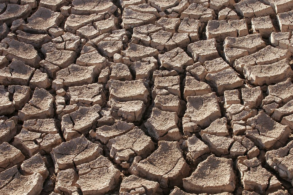 Drought