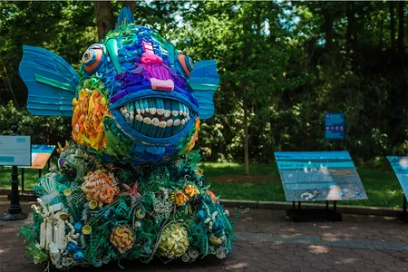Pozzi and her team at the Washed Ashore project, achieve a remarkable and convincing array of textures. 