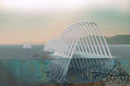 Second Place Winner: Cetacea, designed by Keegan Oneal, Sean Link, Caitlin Vanhauer and Colin Poranski at the University of Oregon