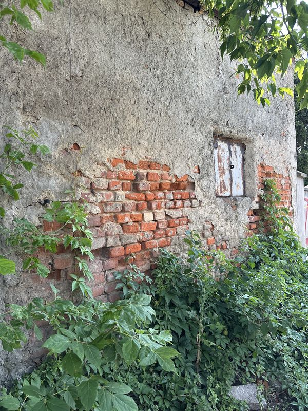 History Showing Through thumbnail