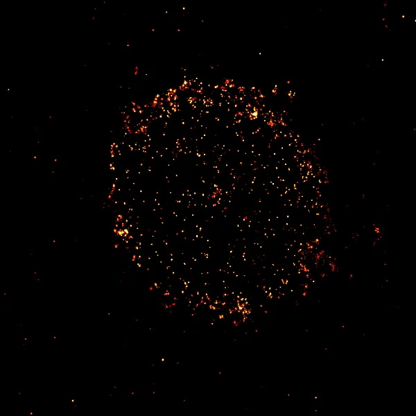 Protein CD19