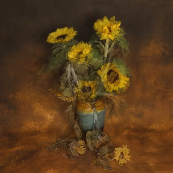 Life in 65 Photos: Sunflower thumbnail