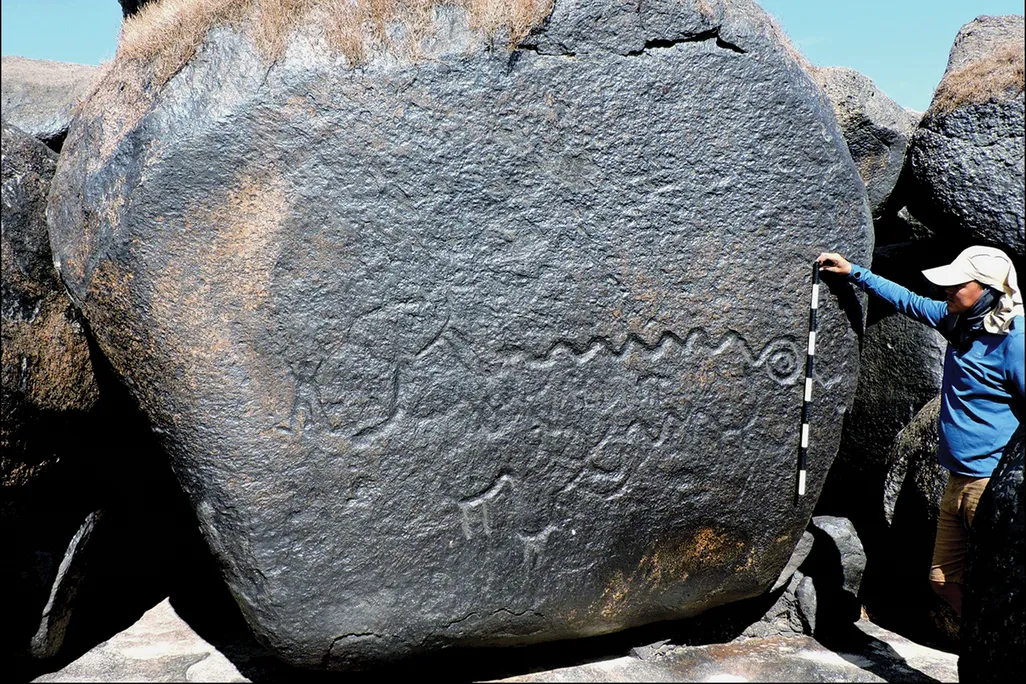 A scientist stands with a measuring tape next to a rock with animal engravings.