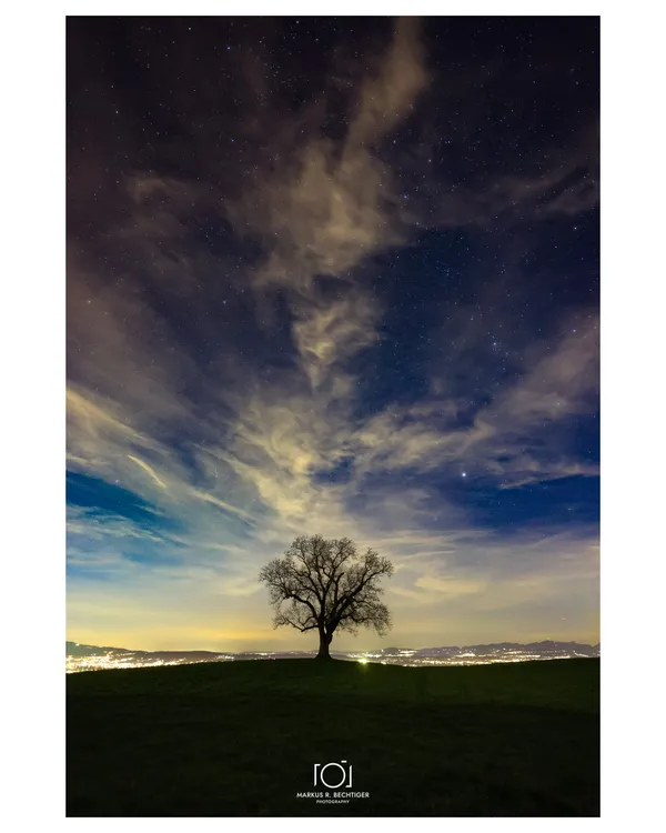 Tree on the hill thumbnail