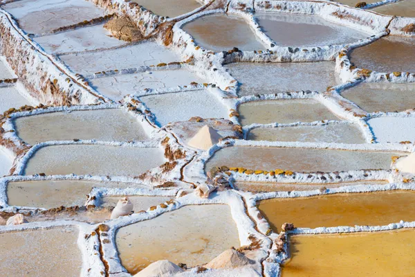 Salt Mosaic thumbnail