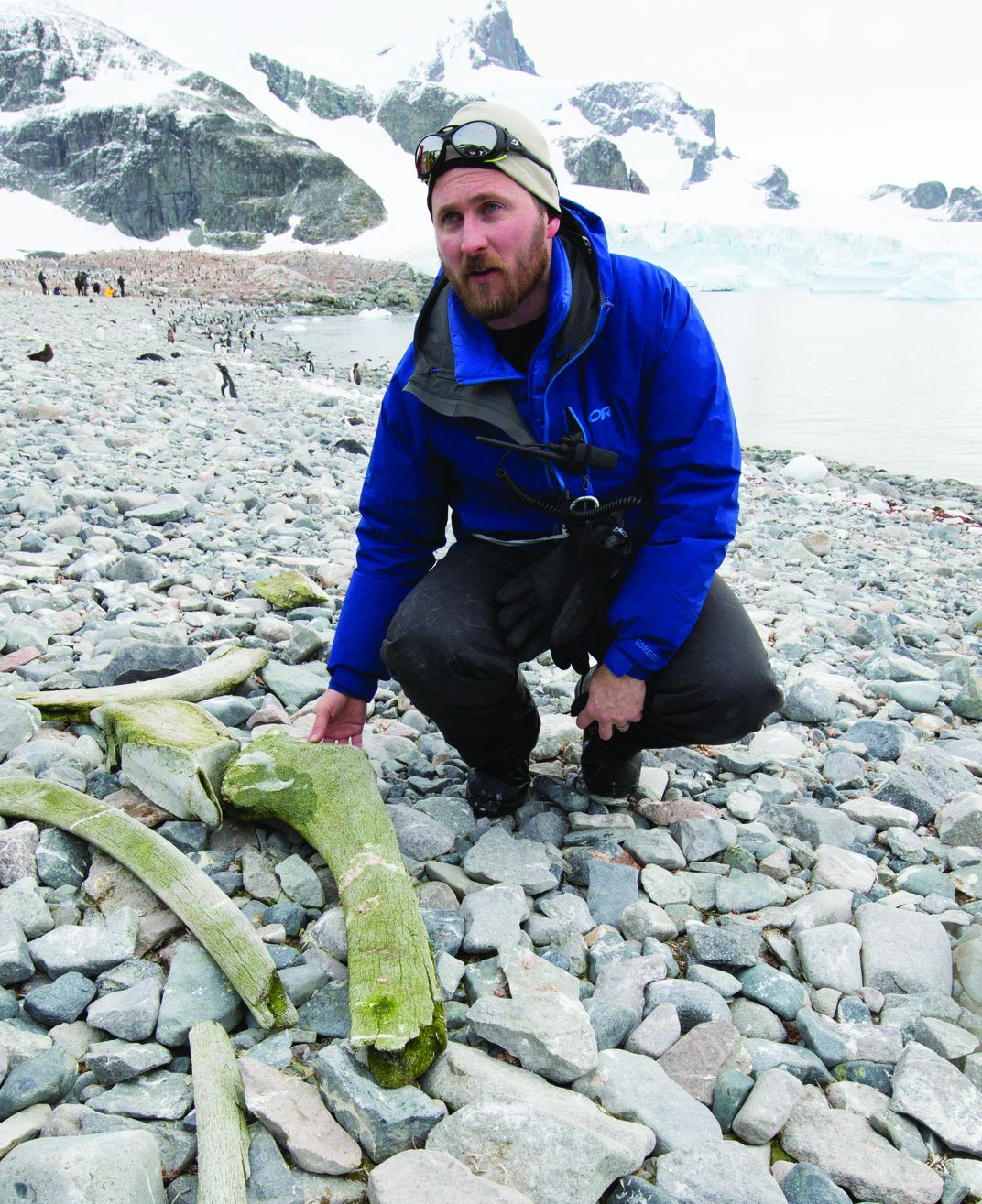  Nick Pyenson points to a whale bone on Cuverville Island in Antarctica