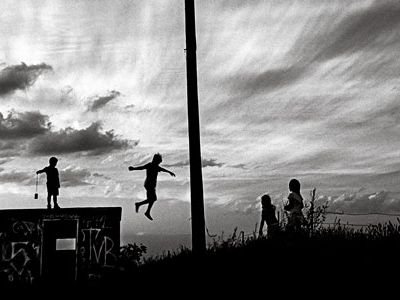 Free Fall Emily Schiffer