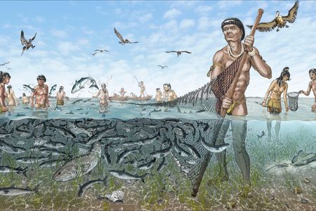 Once fish were captured in watercourts, they were likely harvested with nets or speared.