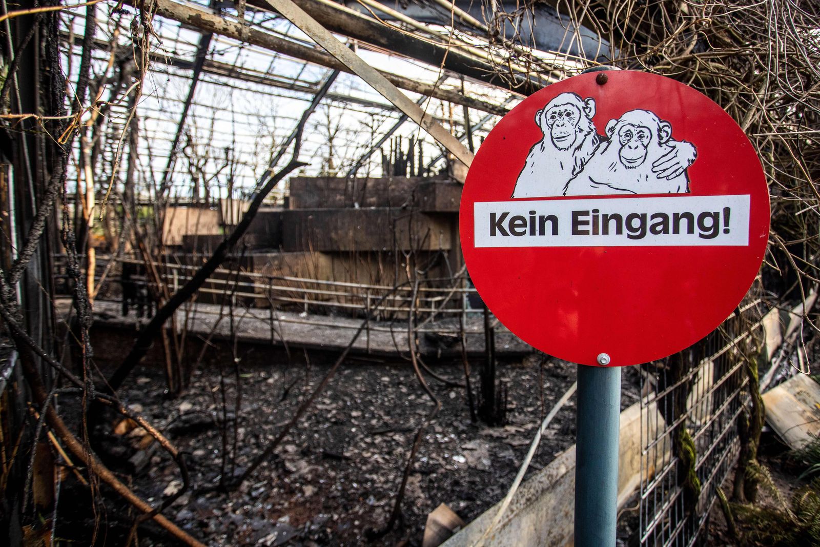More Than 30 Animals, Among Them 'Highly Endangered' Species, Killed in Fire  at German Zoo | Smart News| Smithsonian Magazine