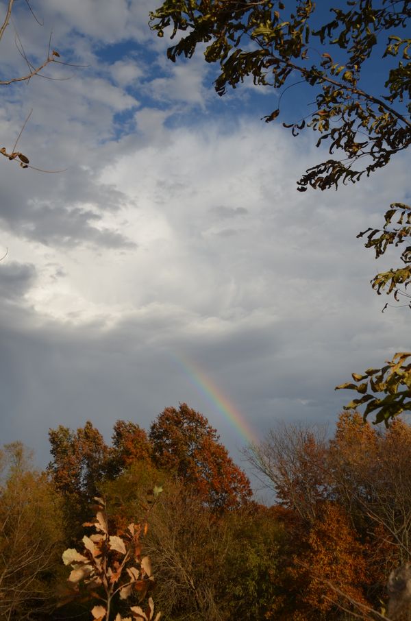 Rainbow in Autumn thumbnail