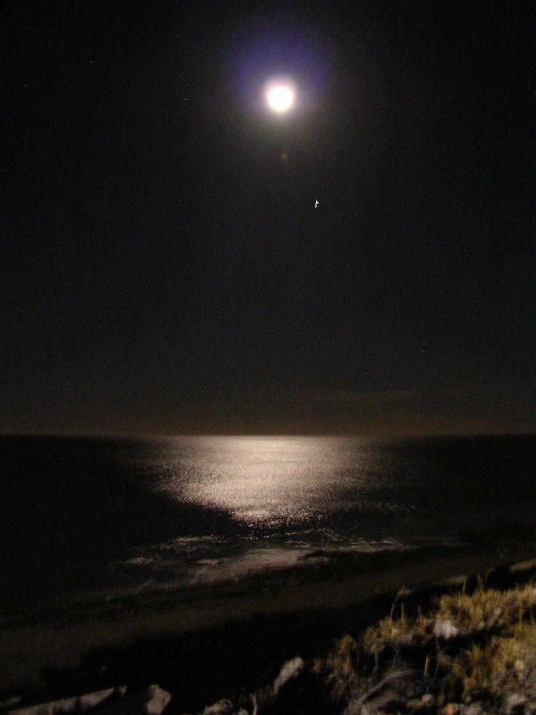 Midnights fullmoon in Rio Grande Argentina | Smithsonian Photo Contest ...